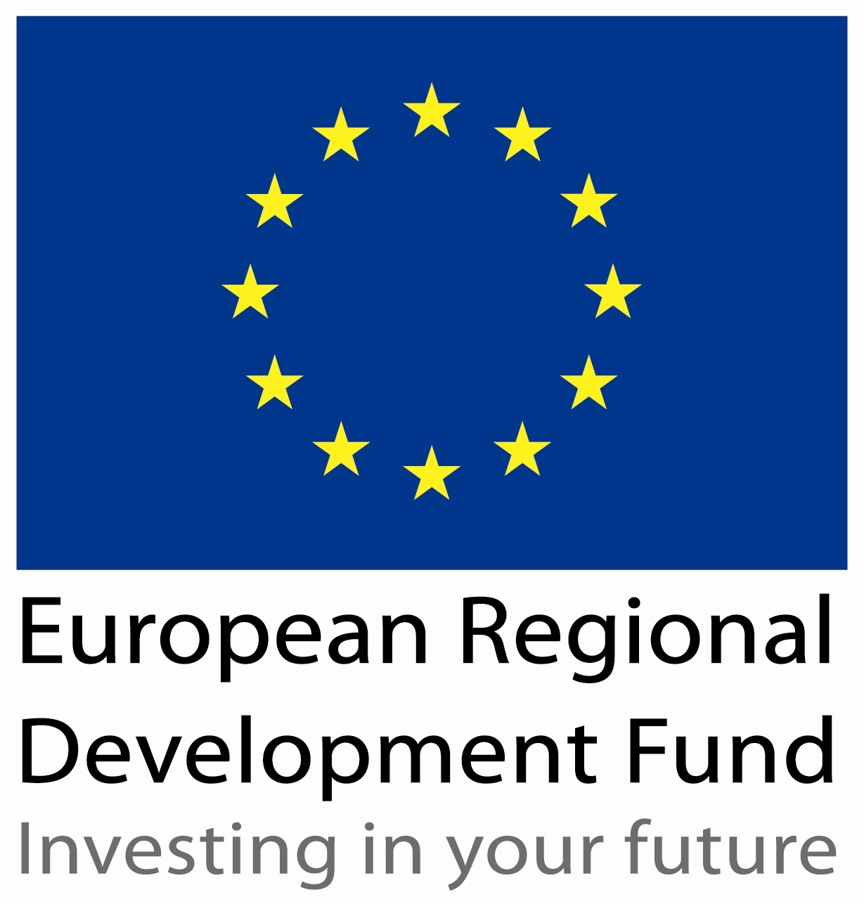European Regional Development Fund Logo